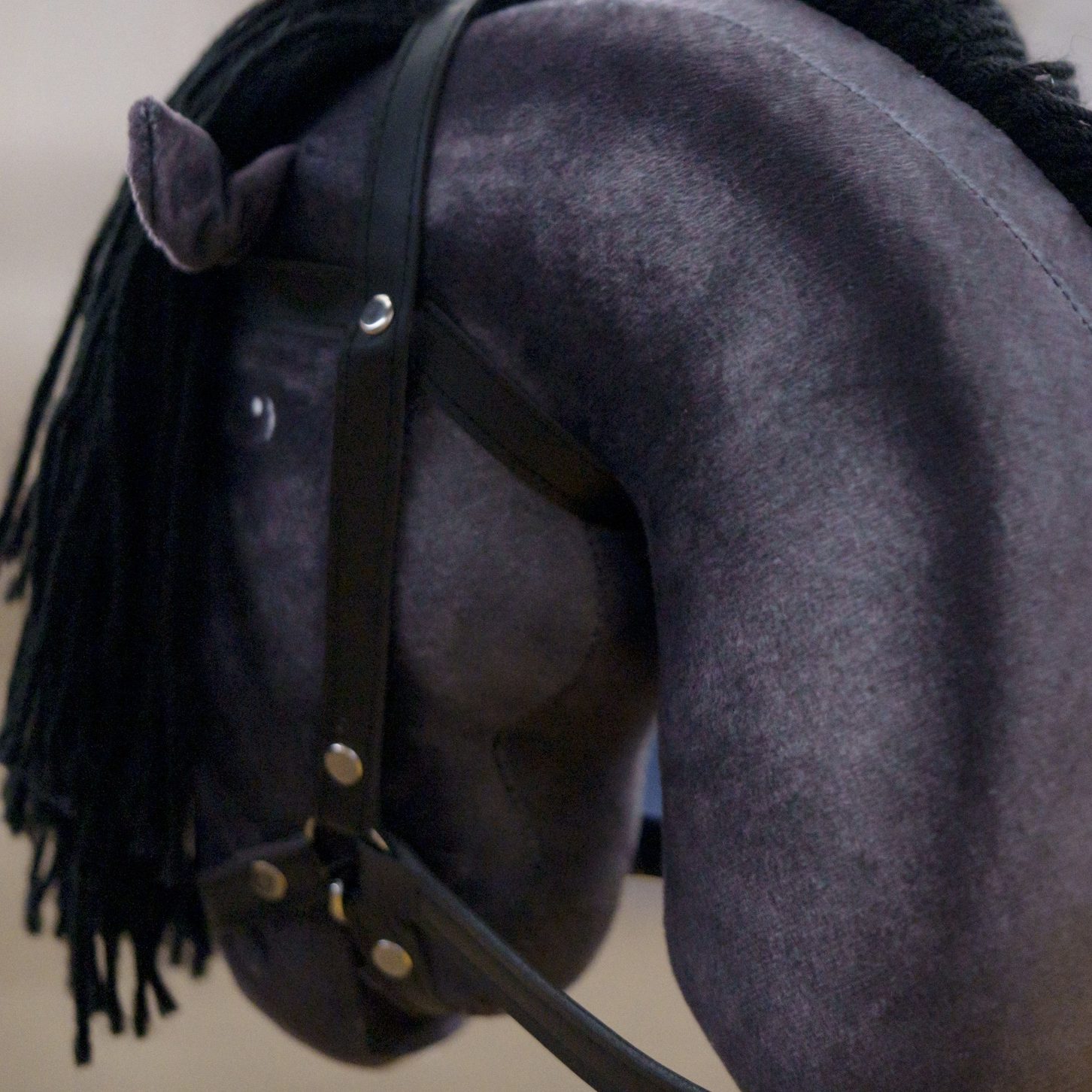 Vereinsmeisterschaft 2024 auf dem Hirtenhof